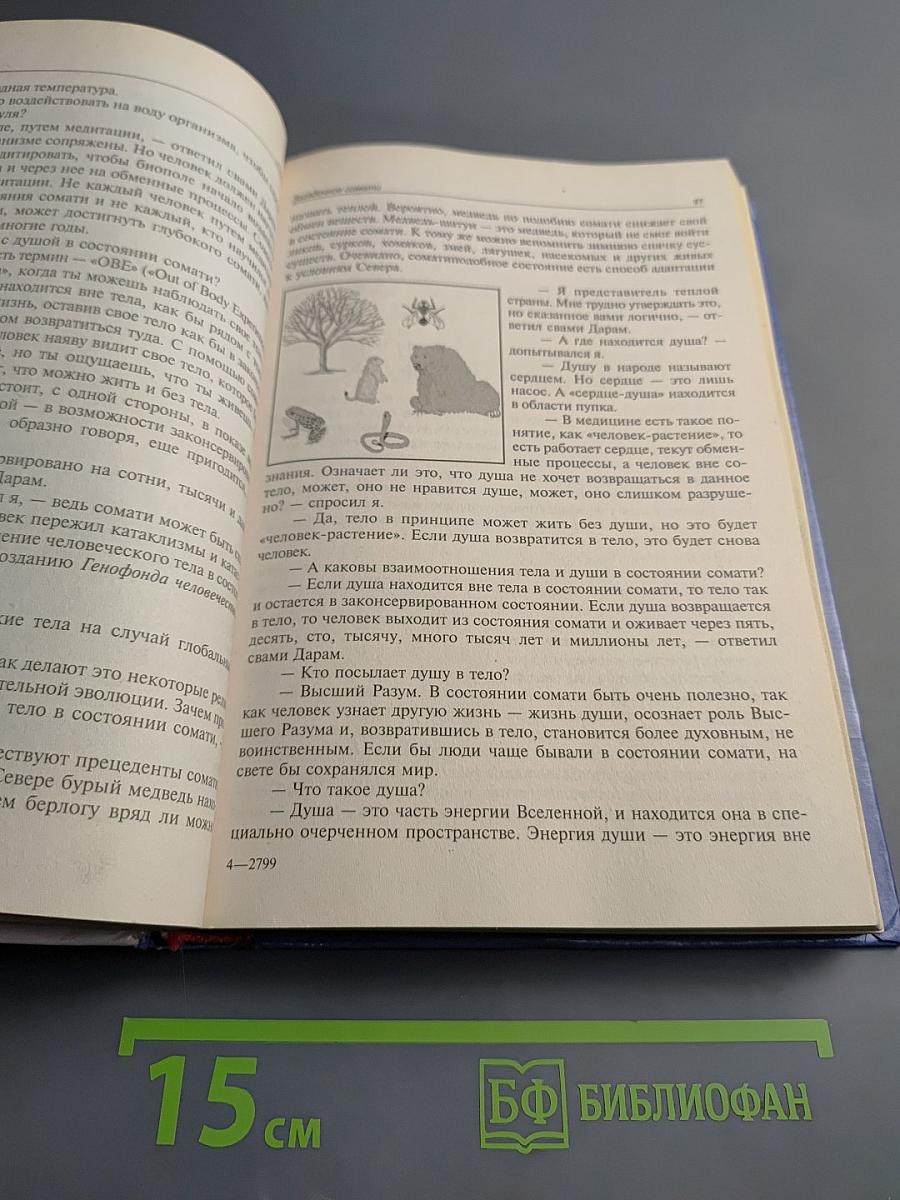 От кого мы произошли?