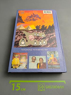 От кого мы произошли?