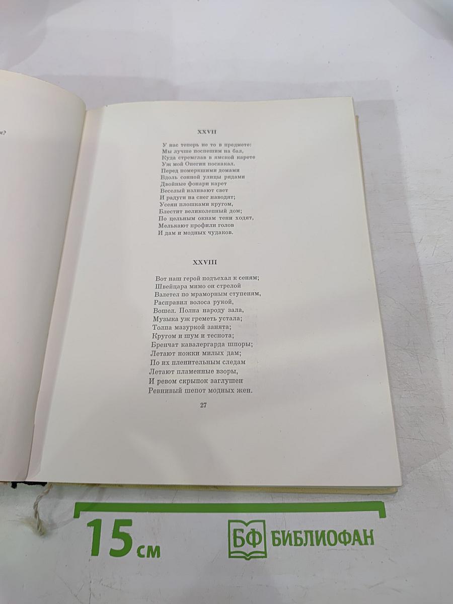 Евгений Онегин