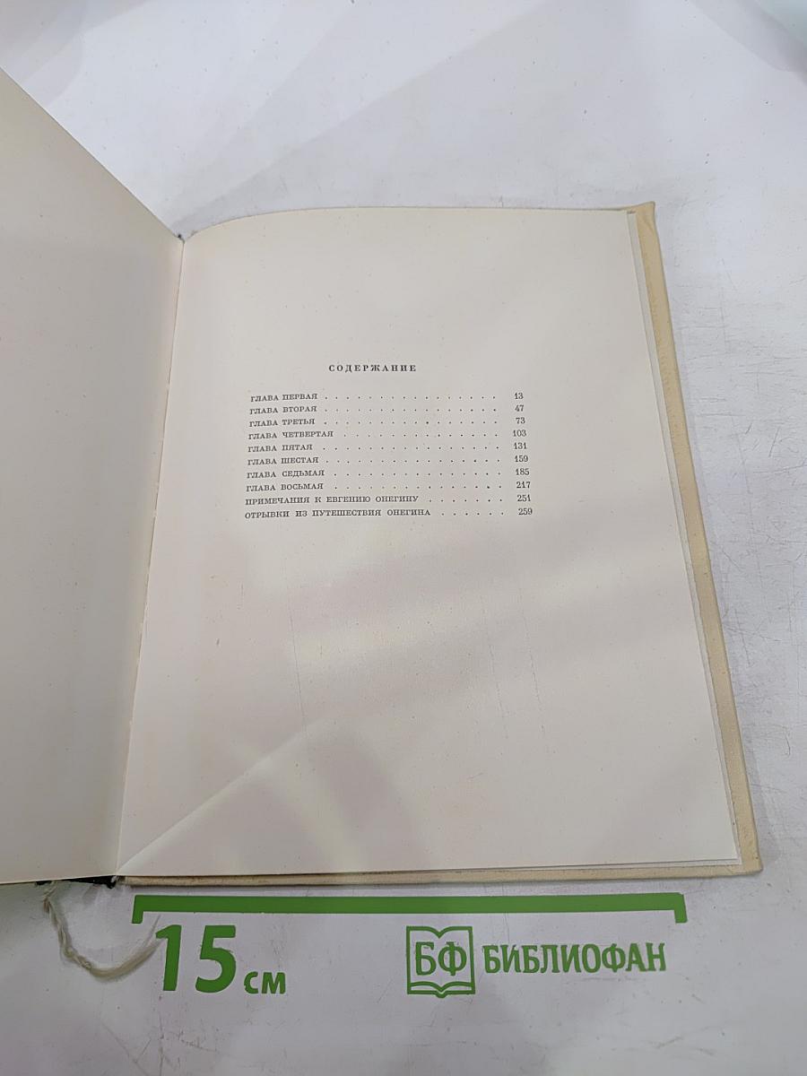 Евгений Онегин
