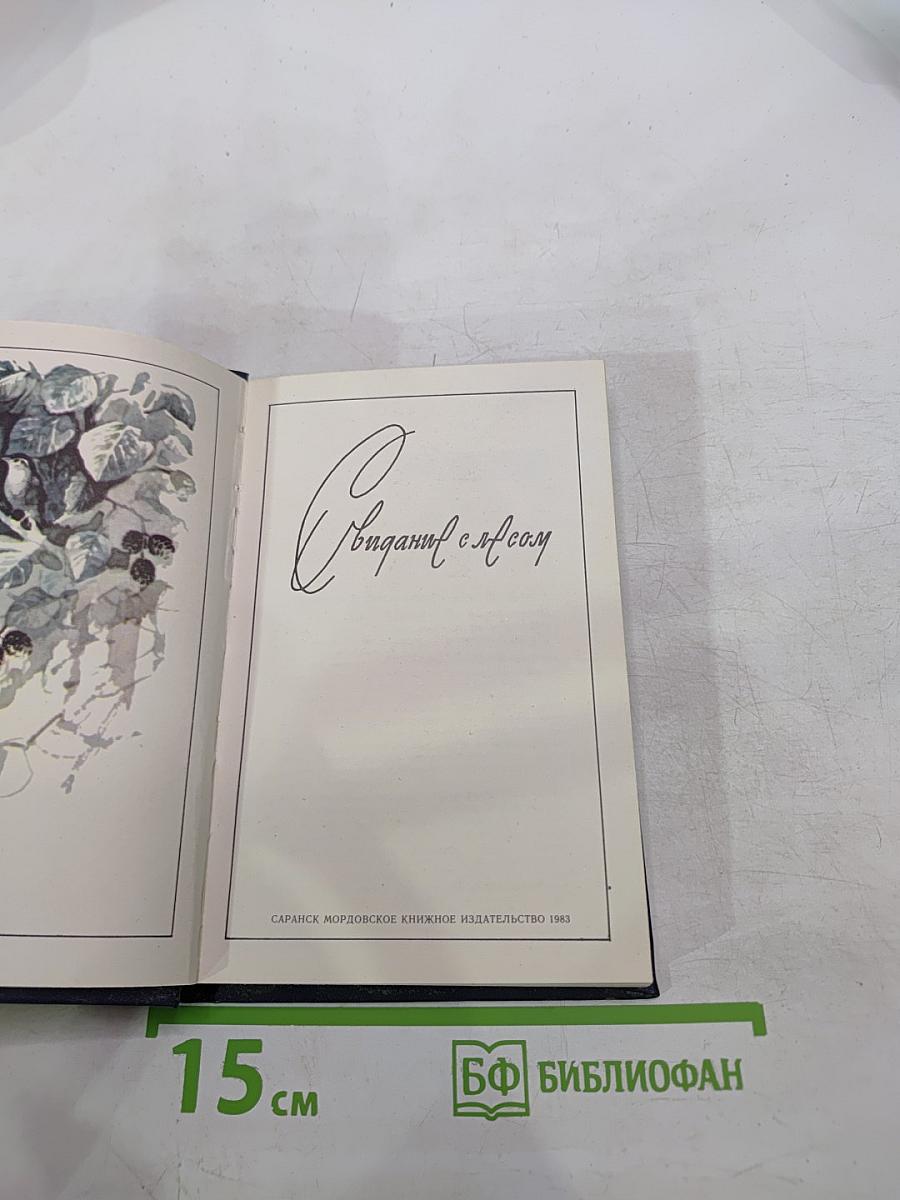 Свидание с лесом