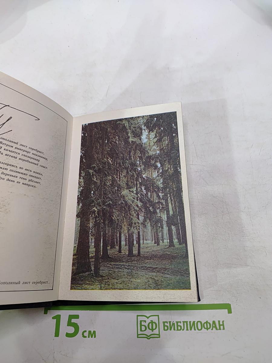 Свидание с лесом