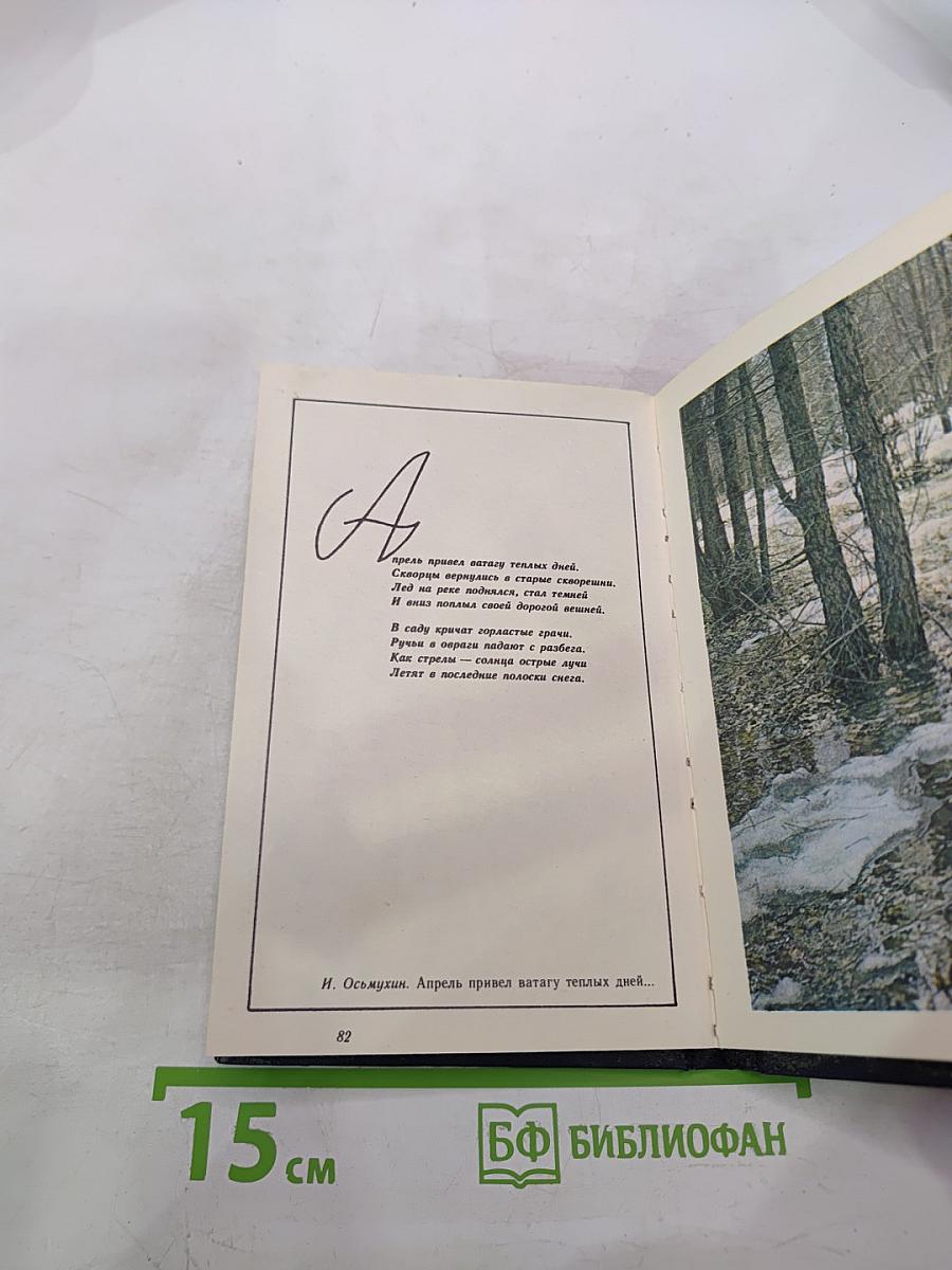 Свидание с лесом