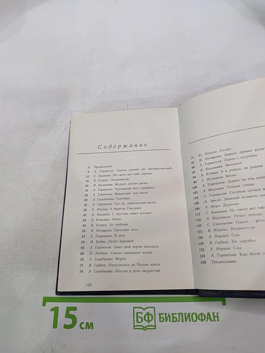 Свидание с лесом