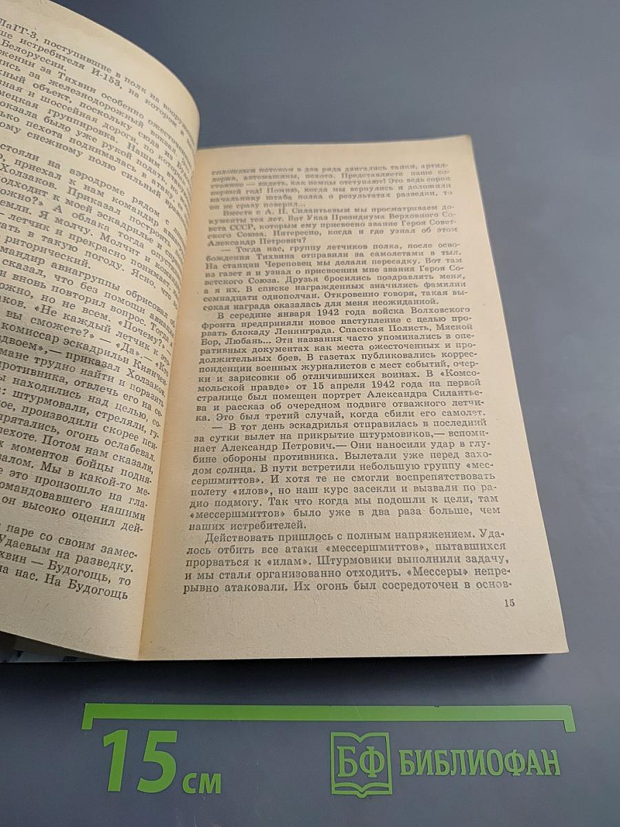 Герои Ленинградского неба