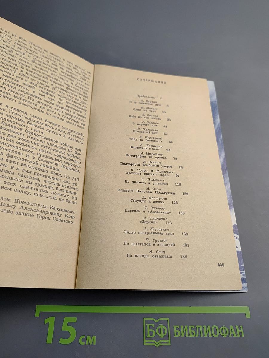 Герои Ленинградского неба