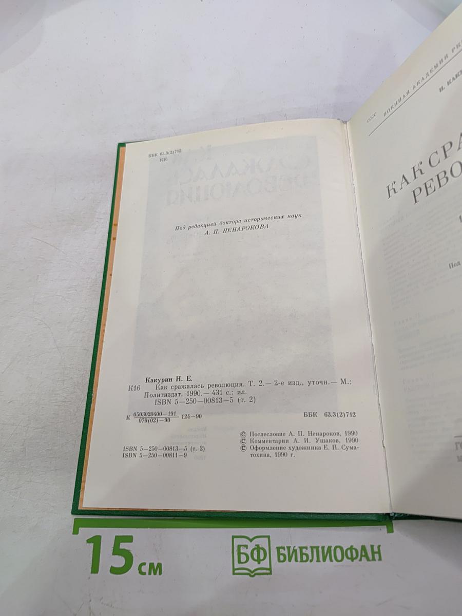 Как сражалась революция. Том второй. 1919-1920