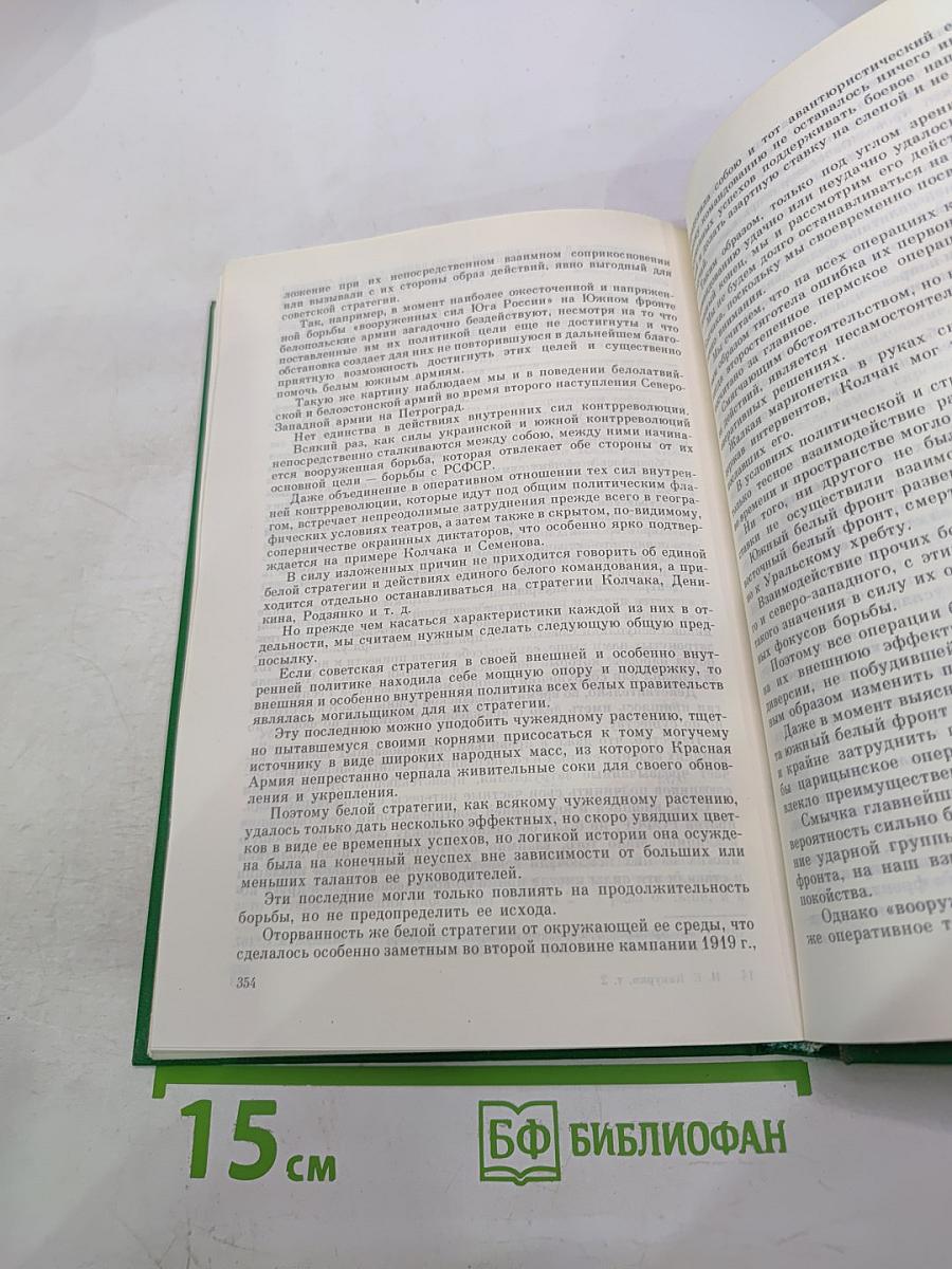 Как сражалась революция. Том второй. 1919-1920