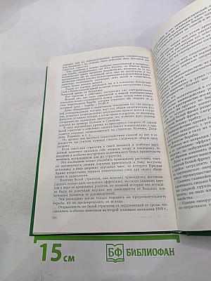 Как сражалась революция. Том второй. 1919-1920