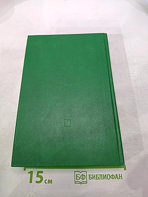 Как сражалась революция. Том второй. 1919-1920