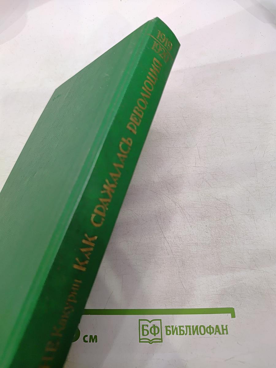 Как сражалась революция. Том второй. 1919-1920
