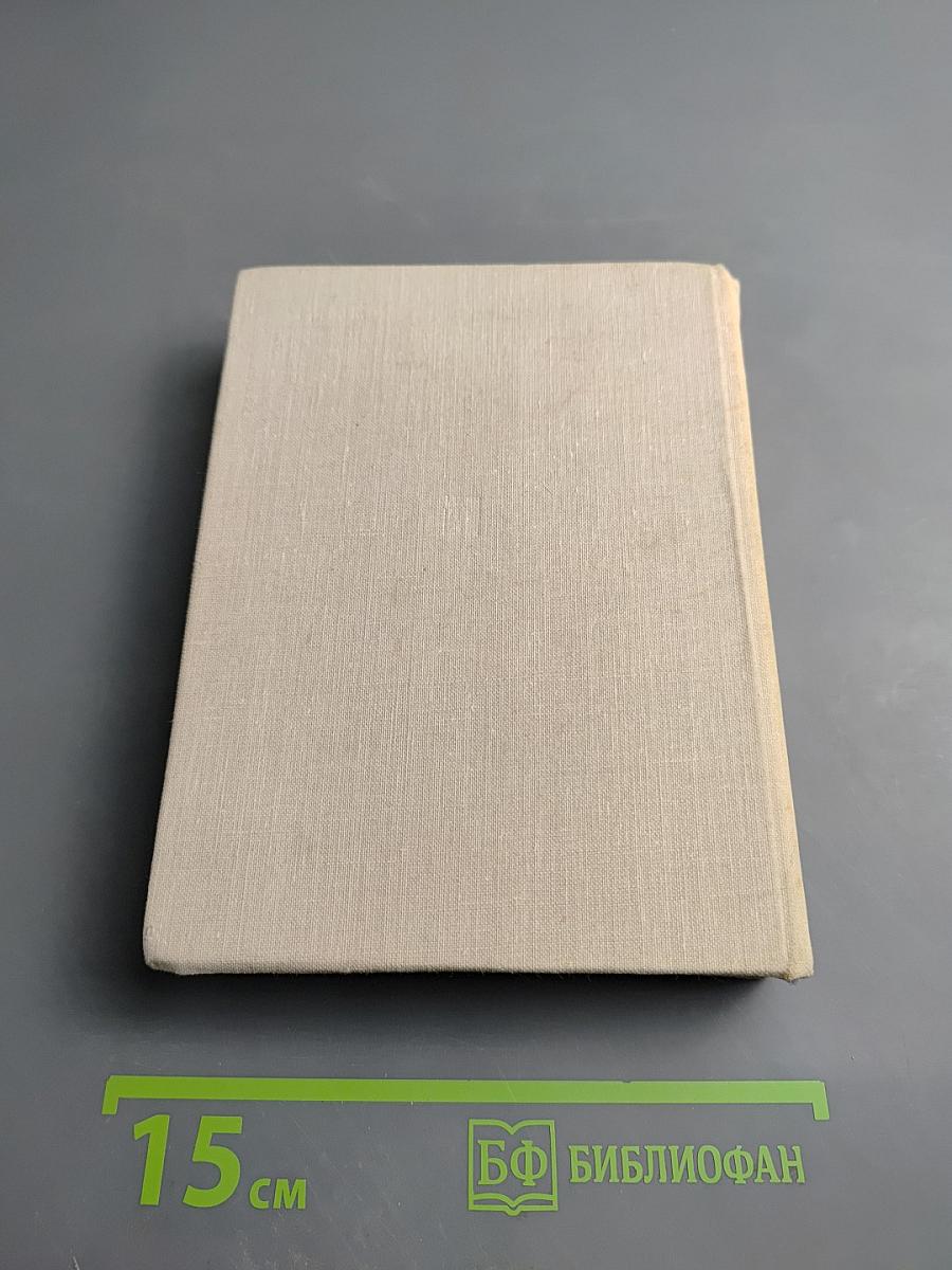 Навсегда, до конца. Повесть об Андрее Бубнове