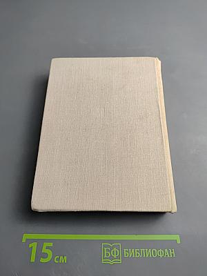 Навсегда, до конца. Повесть об Андрее Бубнове