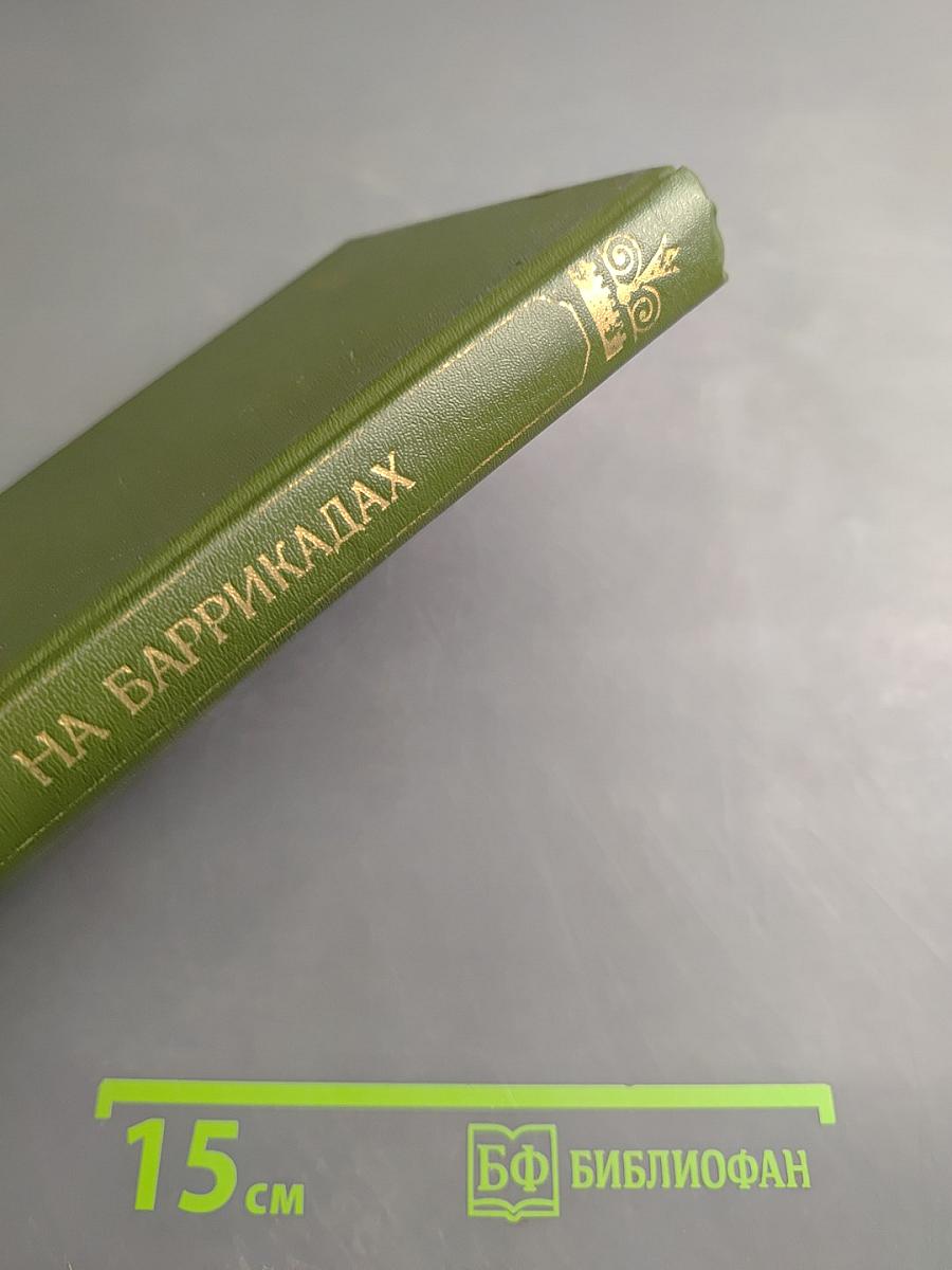 На баррикадах. Воспоминания участников революции 1905–1907 гг. в Петербурге
