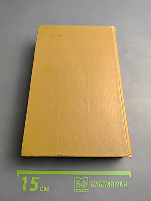 Дневник партизанских действий 1812 г. Записки кавалерист-девицы