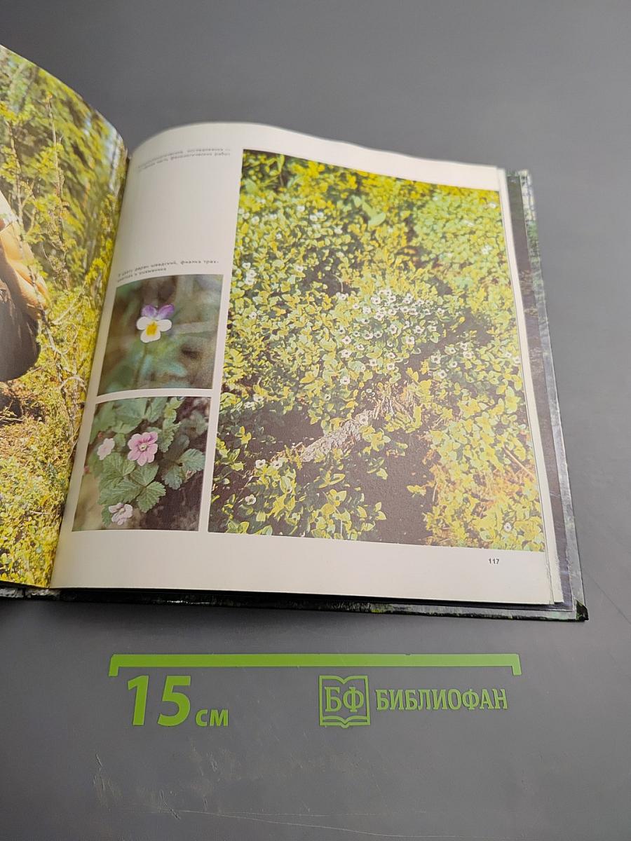 Заповедники Карелии