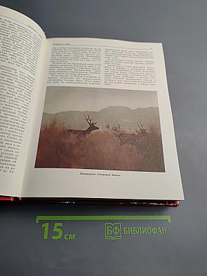 Советский Союз. Политико-экономический справочник