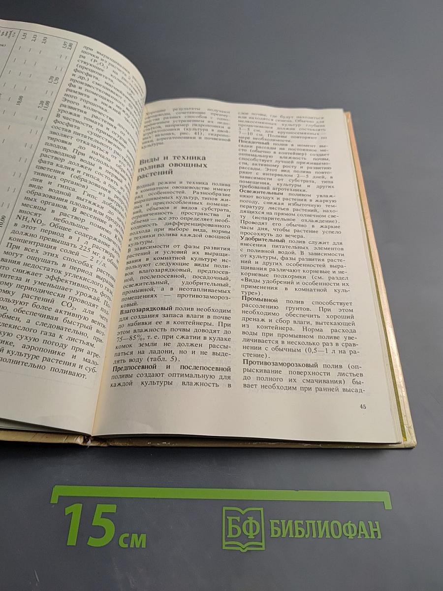 Комнатное овощеводство