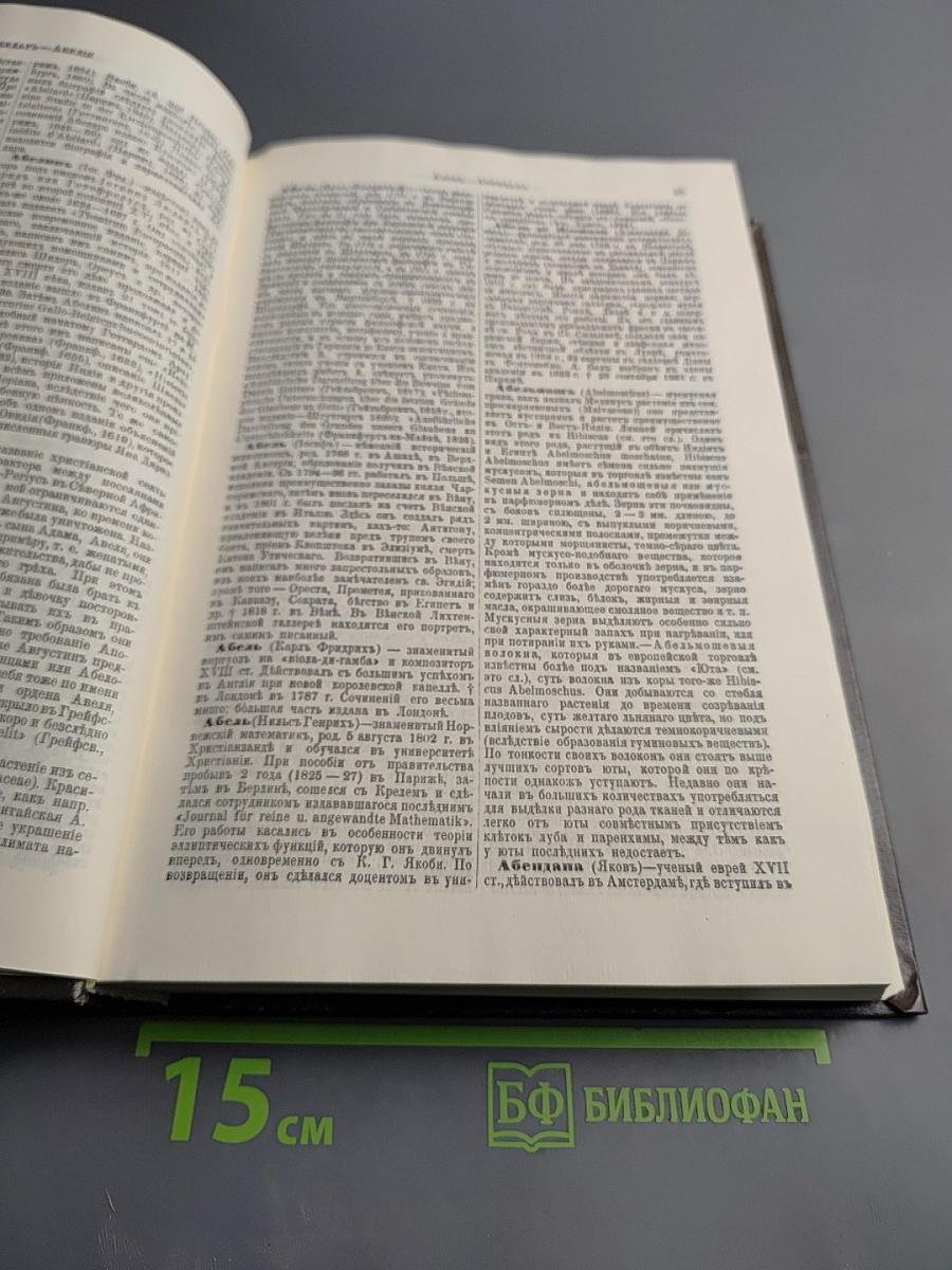 Энциклопедический словарь. Том 1. А - Алтай