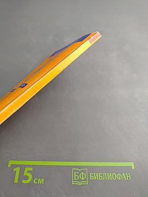 Здоровые кости Что необходимо знать об остеопорозе