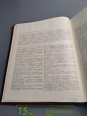 Большая Советская Энциклопедия, Том 13