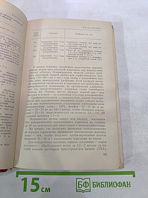 Ягодные культуры
