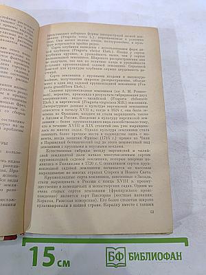 Ягодные культуры