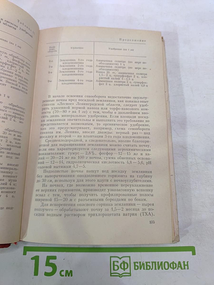 Ягодные культуры