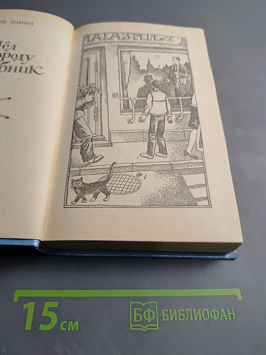 Шёл по городу Волшебник