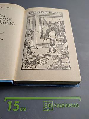 Шёл по городу Волшебник