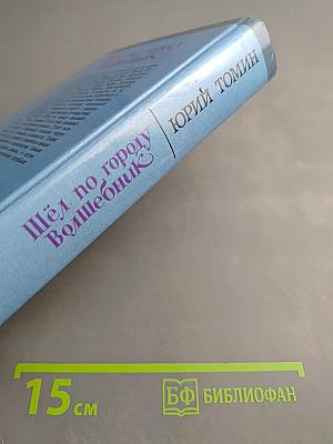 Шёл по городу Волшебник