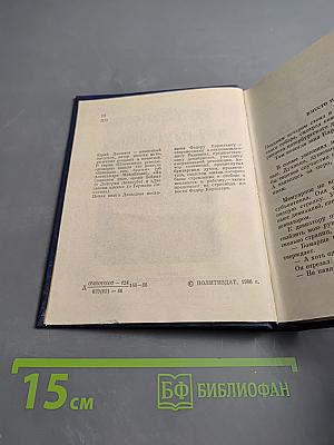 Неунывающий Теодор