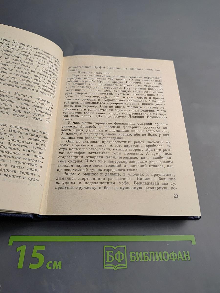 Неунывающий Теодор