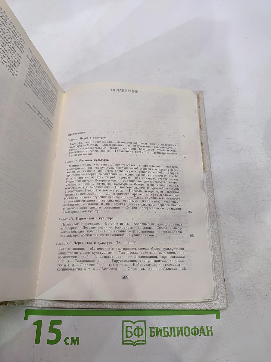 Первобытная культура