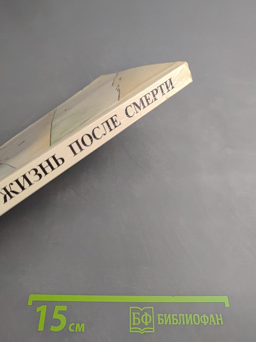 Жизнь после смерти