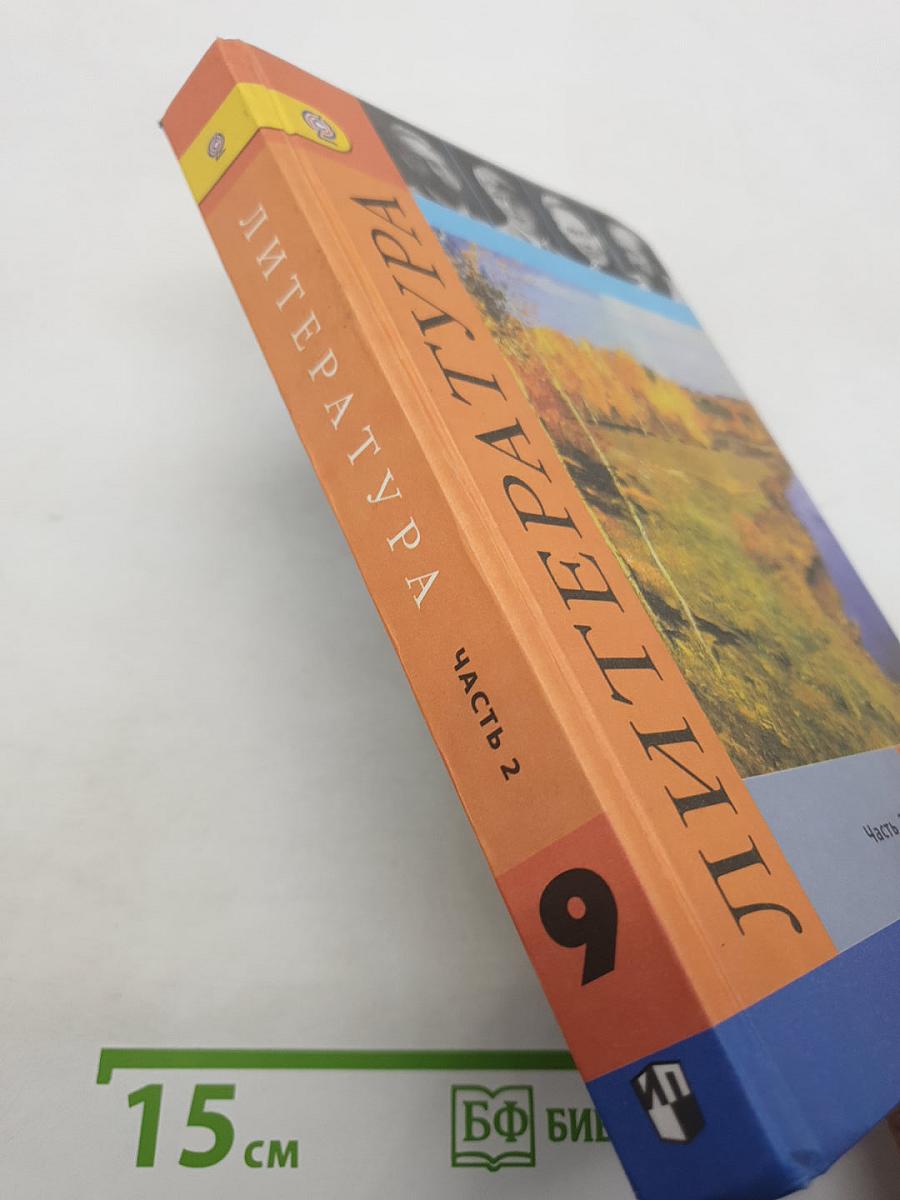 Литература. 9 класс. Учебник. Часть 2