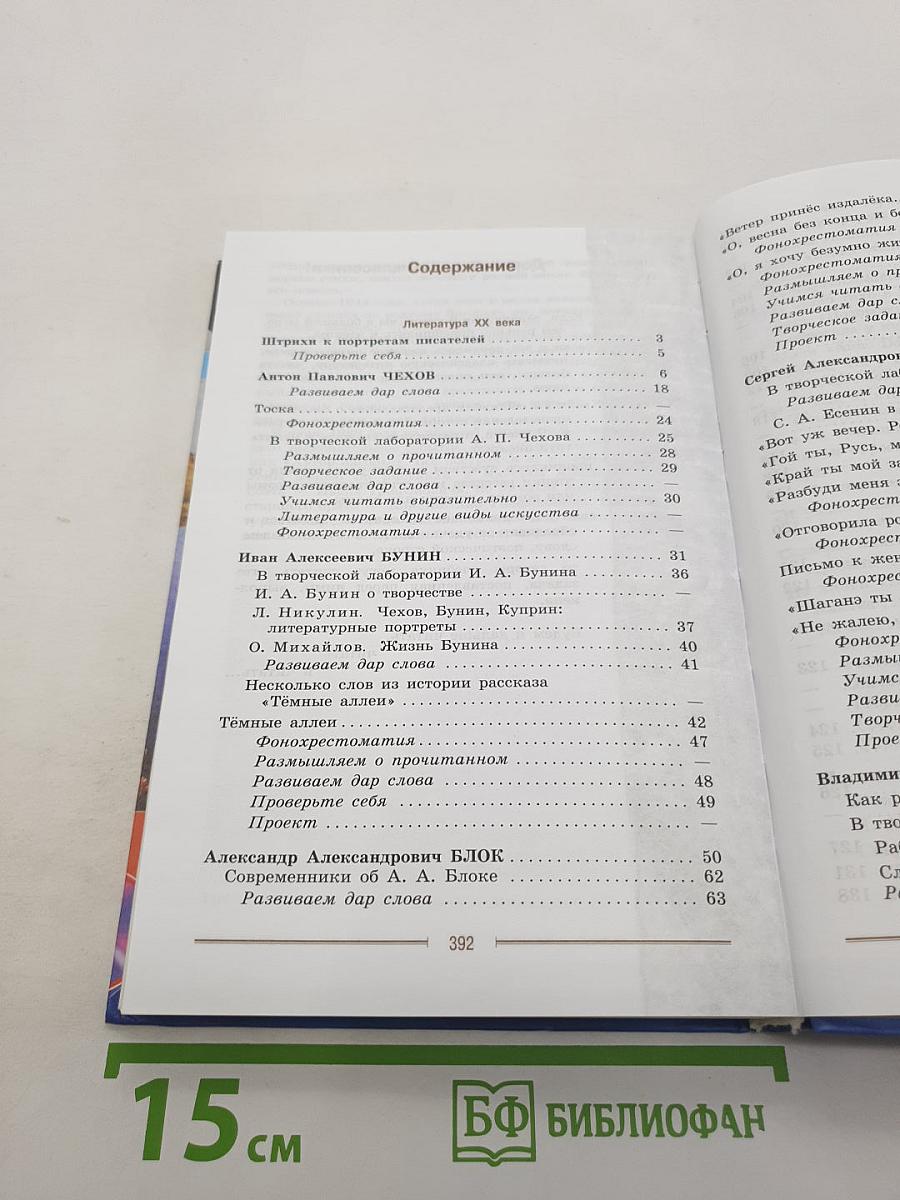 Литература. 9 класс. Учебник. Часть 2