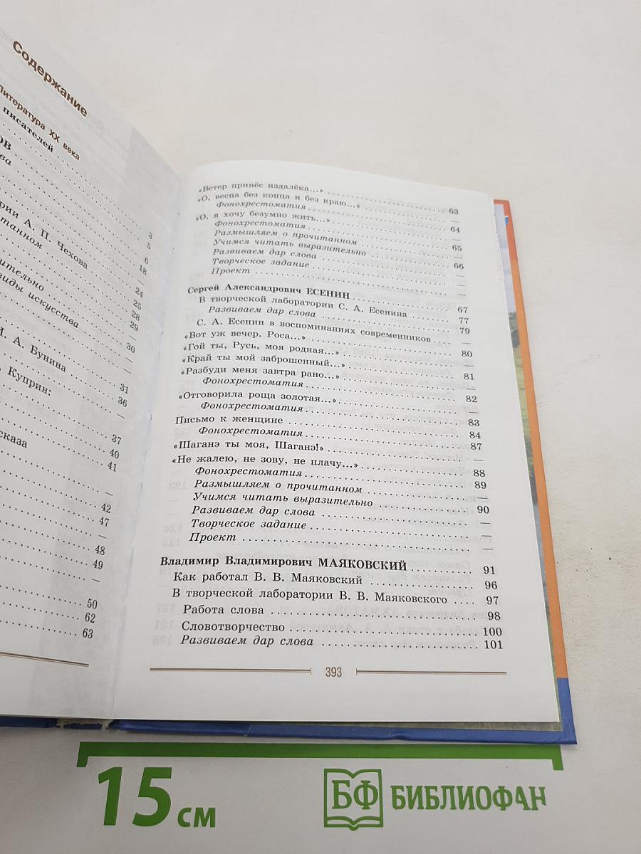 Литература. 9 класс. Учебник. Часть 2