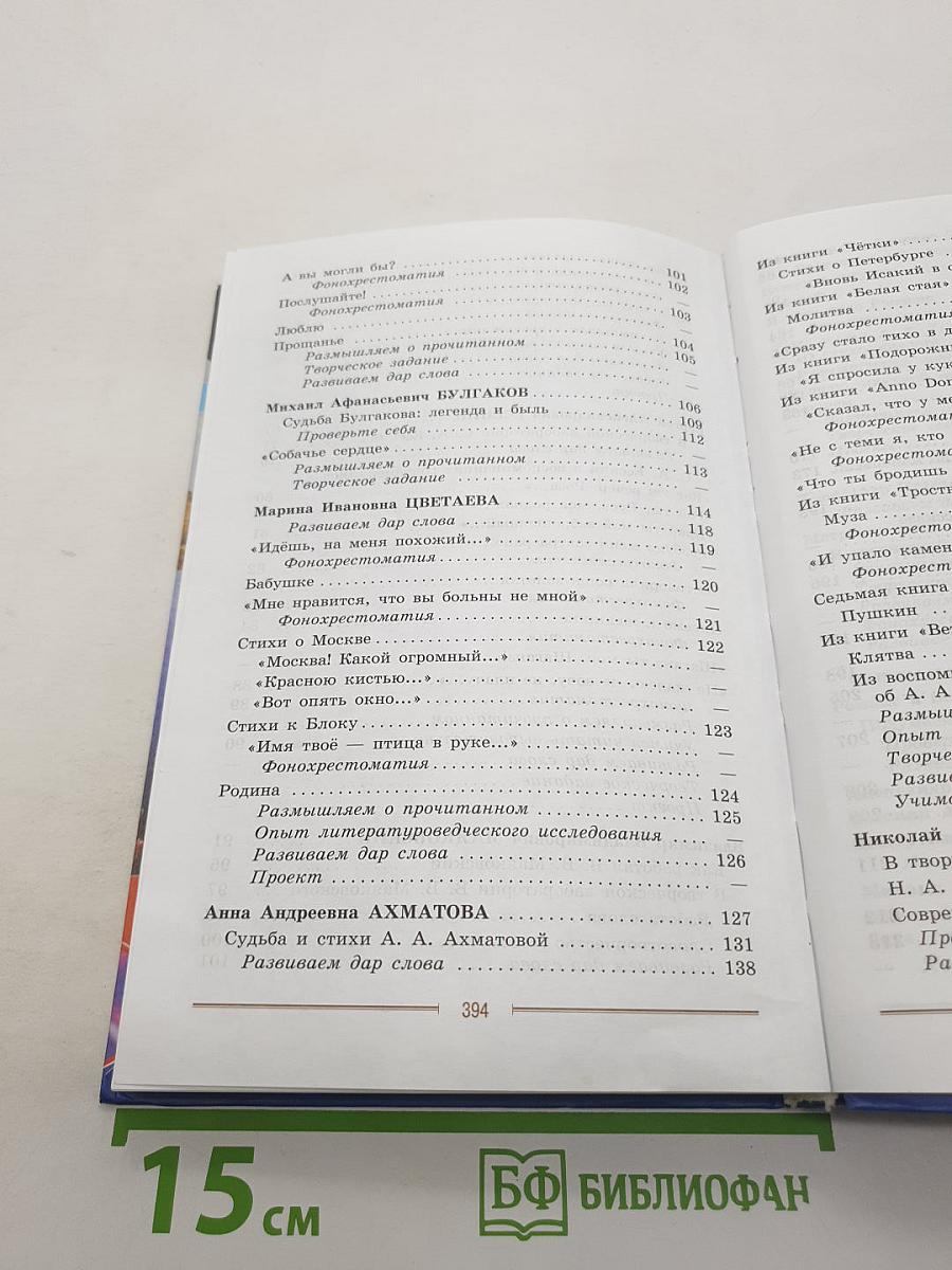 Литература. 9 класс. Учебник. Часть 2