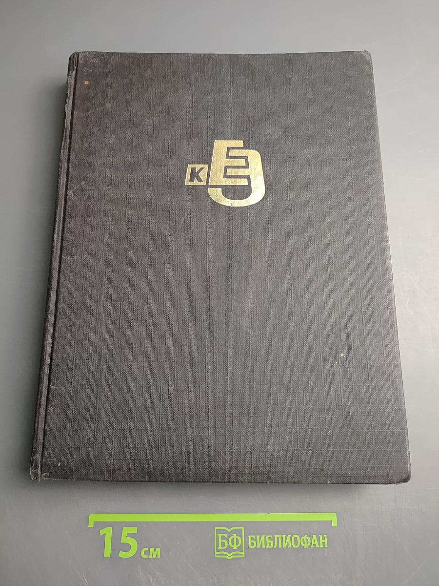 Краткая еврейская энциклопедия. Том 1: Аарон – Высоцкий