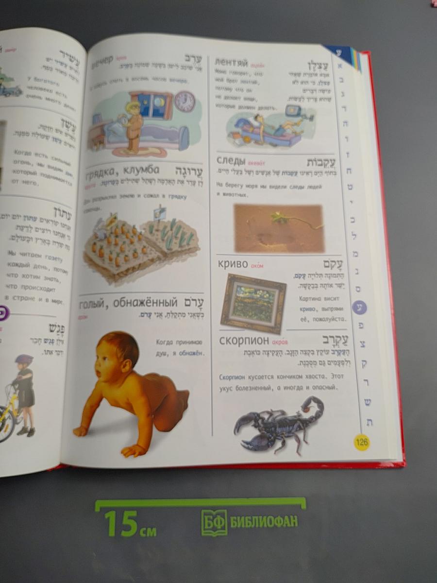 Мой словарь. Иврит-русский израильский словарь для детей с транслитерацией