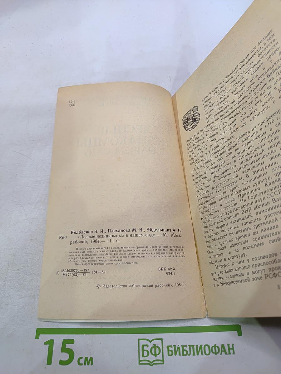 Лесные незнакомцы в нашем саду