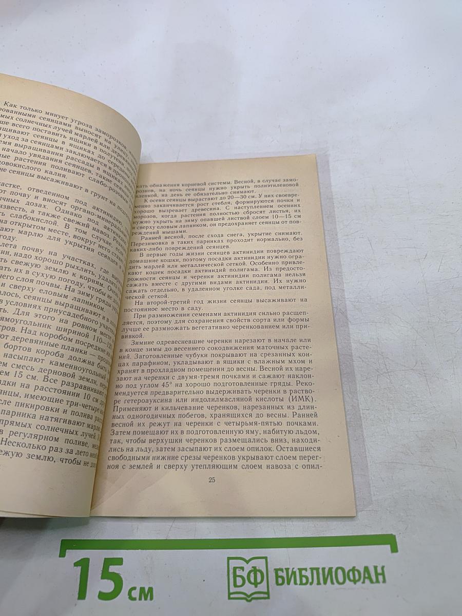 Лесные незнакомцы в нашем саду