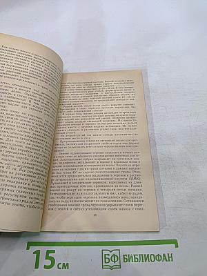 Лесные незнакомцы в нашем саду