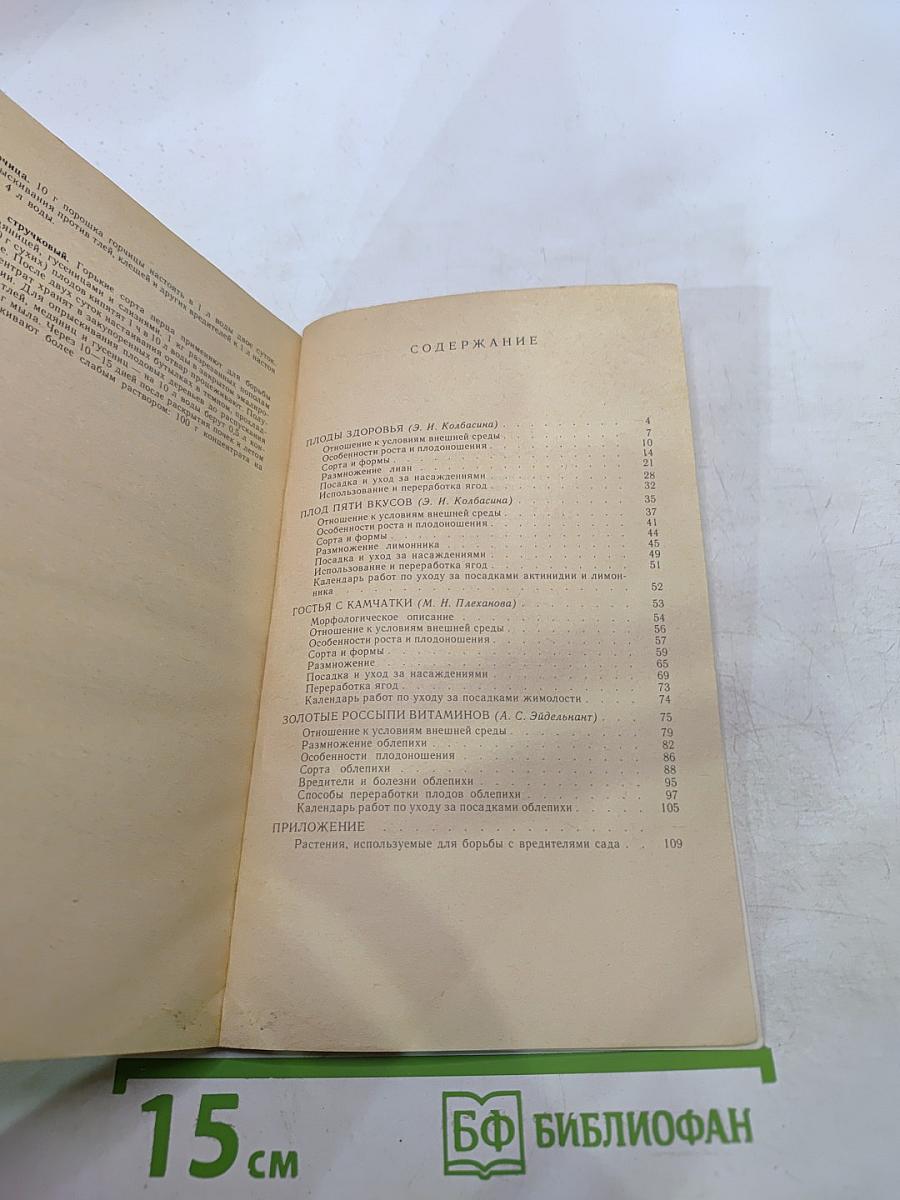 Лесные незнакомцы в нашем саду