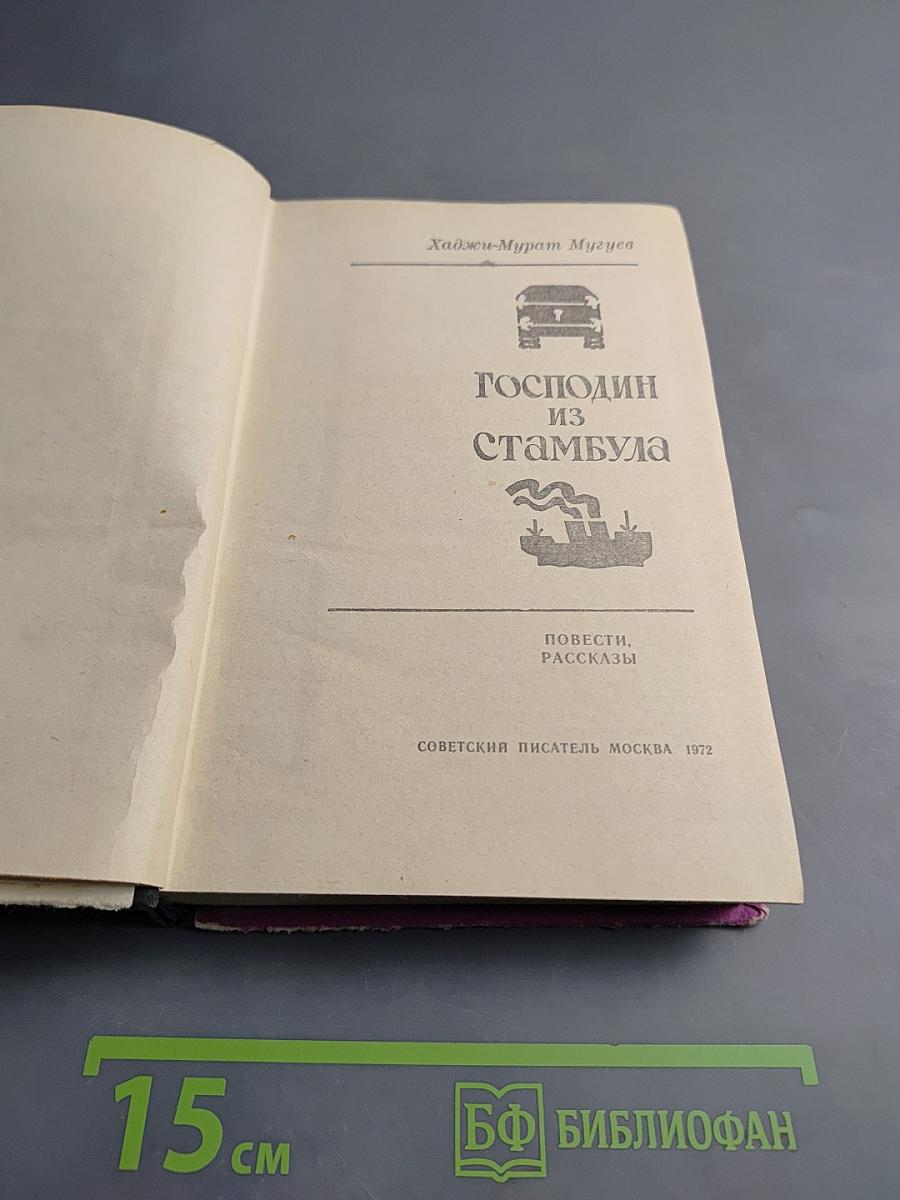 Господин из Стамбула