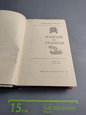 Господин из Стамбула