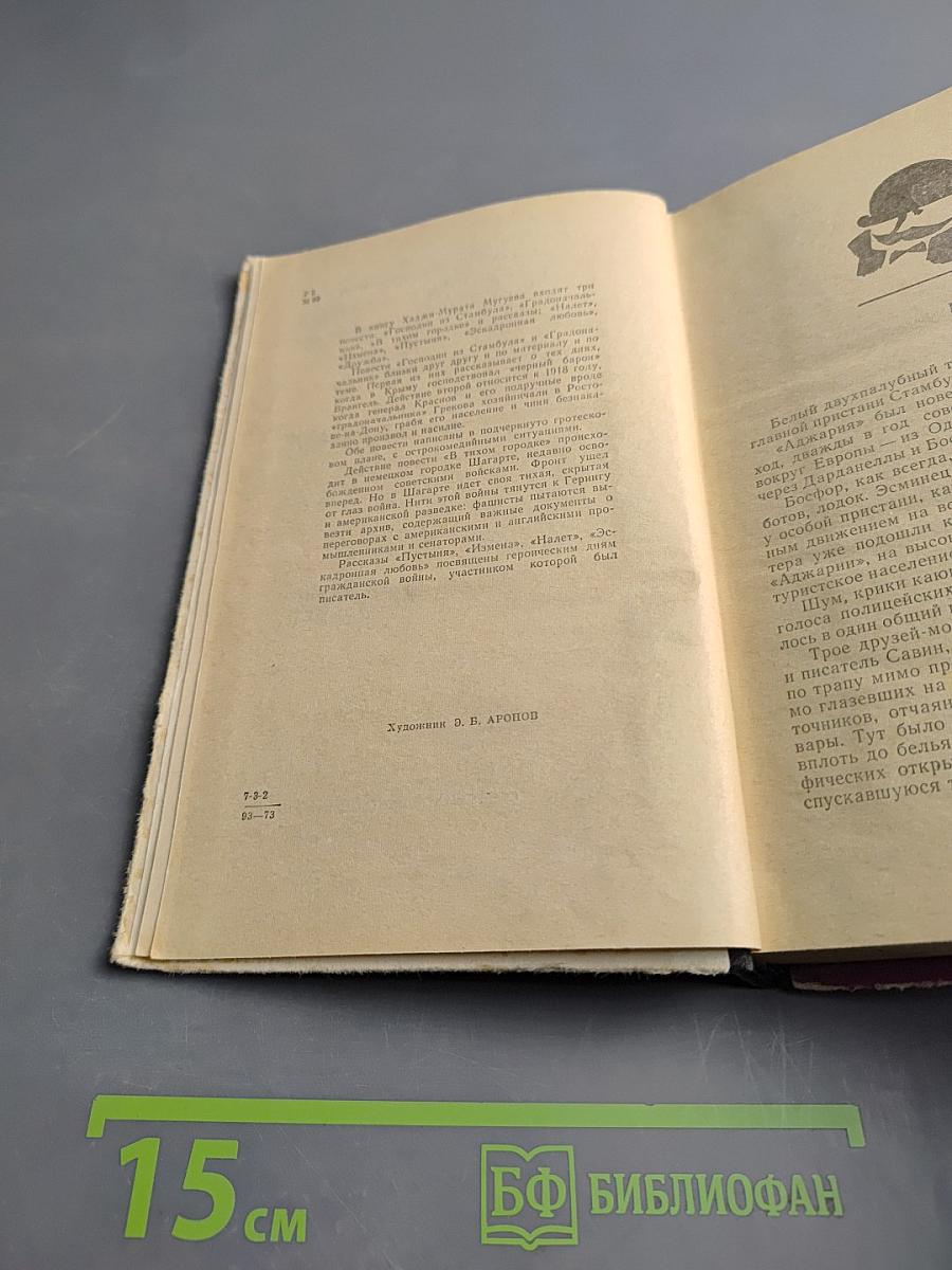 Господин из Стамбула