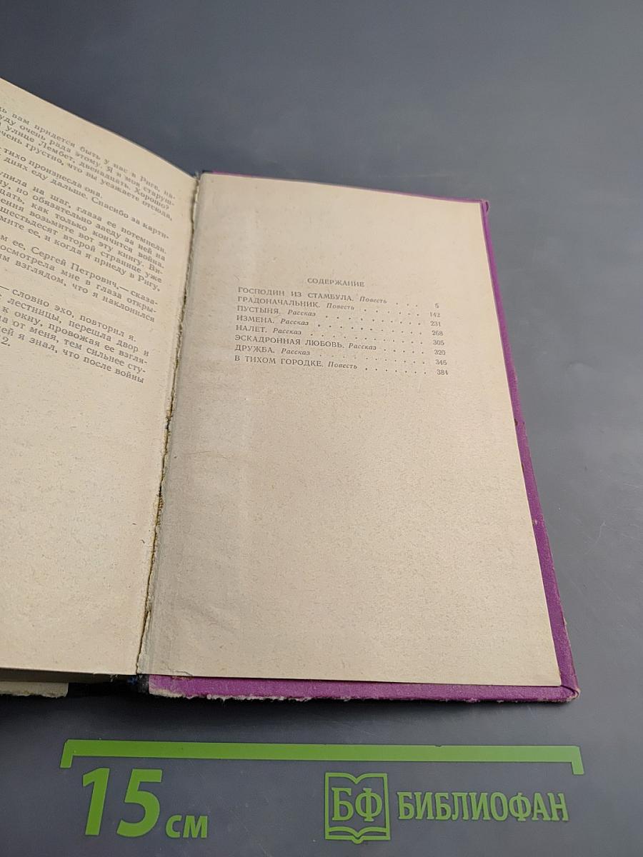 Господин из Стамбула