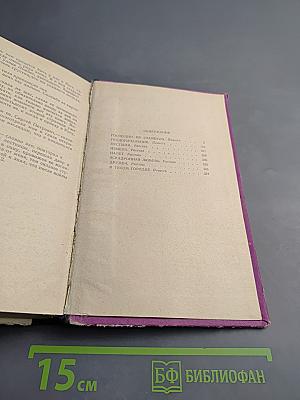 Господин из Стамбула